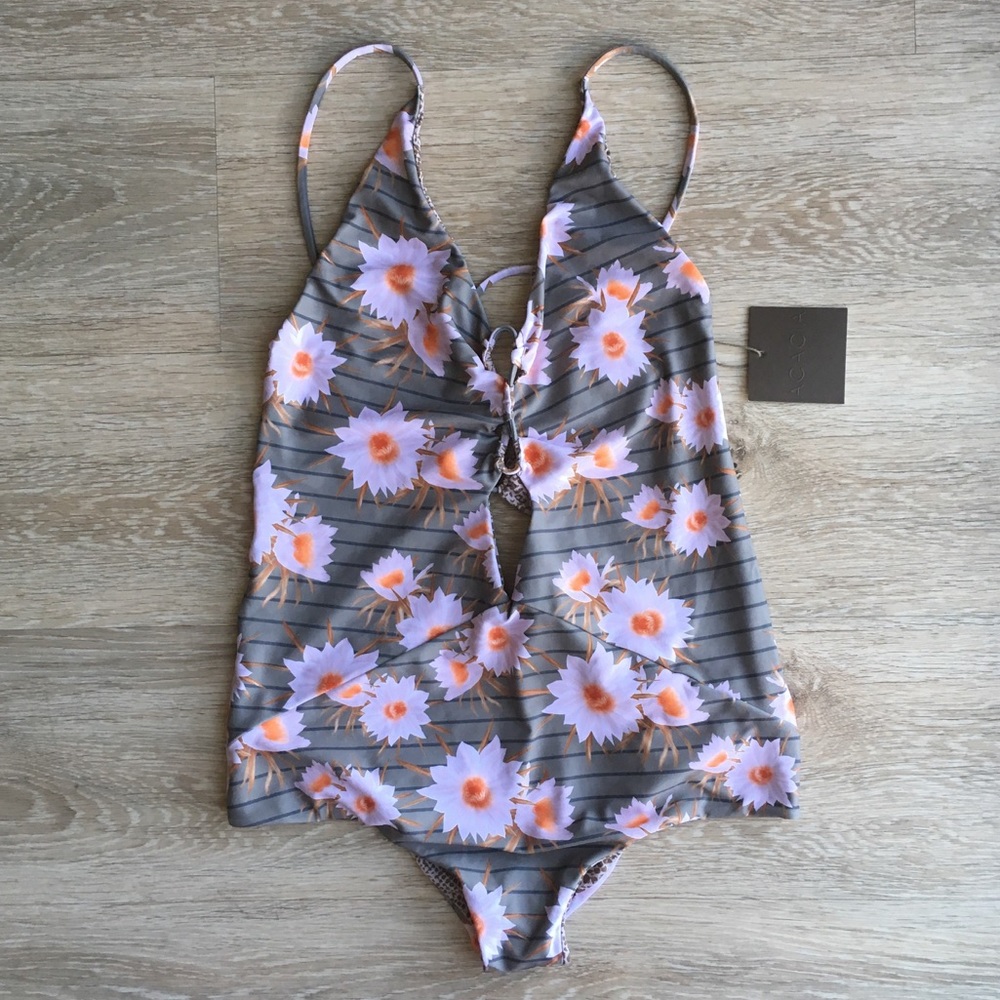 Acacia Kokomo XL dragon stripe